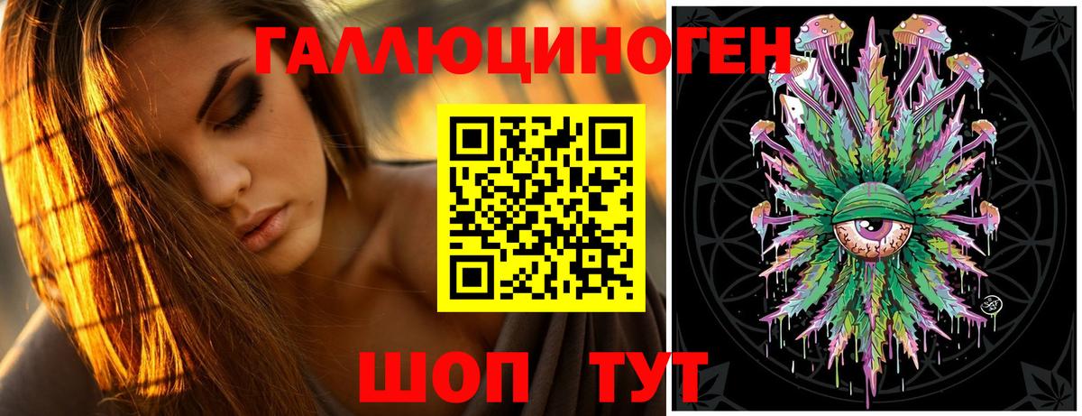 Псилоцибиновые грибы мухоморы  сколько стоит  Курчалой  Вход с VPN 