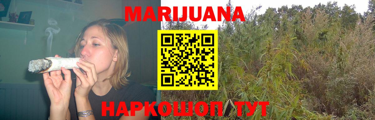 Каннабис сатива Курчалой
